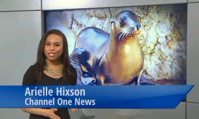 Arielle Hixson joins sinking ship Channel One News